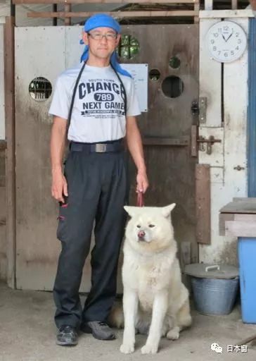 Life生活網 日本馴犬師鏡頭前打狗引發眾怒 知道原因後所有人都沉默了