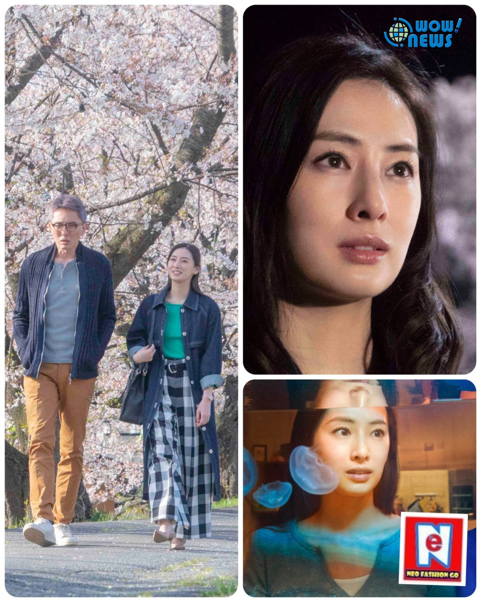電影 添好孕 孕活 經驗北川景子與櫻花樹共演 可以讓我盡 電影 添好孕 孕活 經驗北川景子與櫻花樹共演 可以讓我盡